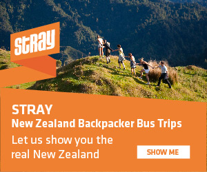 Stray New Zealand Backpacker Bus