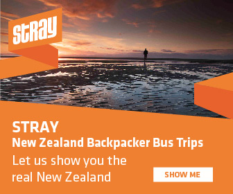 Stray New Zealand Backpacker Bus